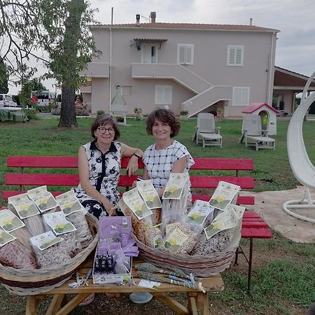 Agriturismo Susanna E Atria Bibbona Kültér fotó