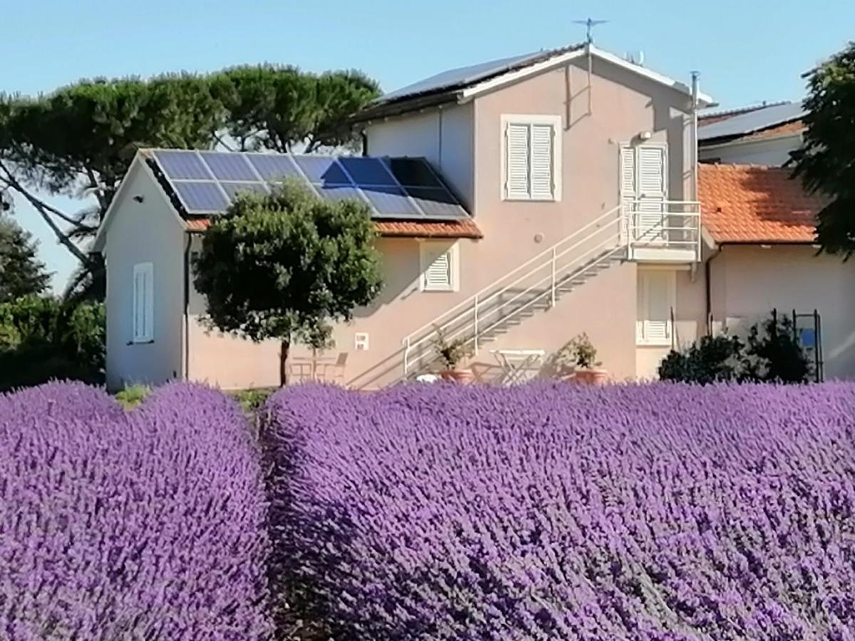Agriturismo Susanna E Atria Bibbona Kültér fotó