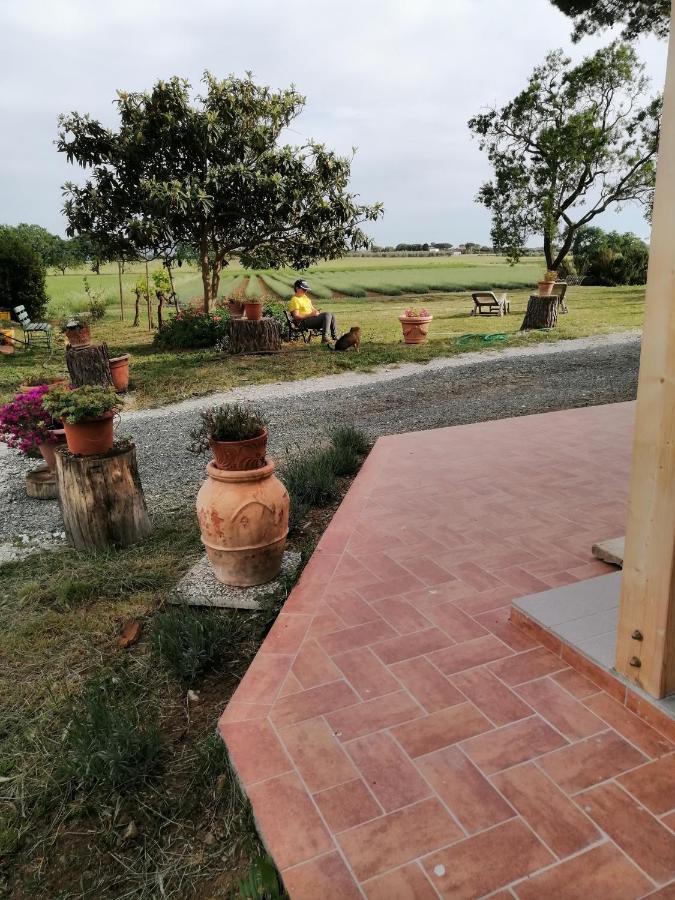Agriturismo Susanna E Atria Bibbona Kültér fotó