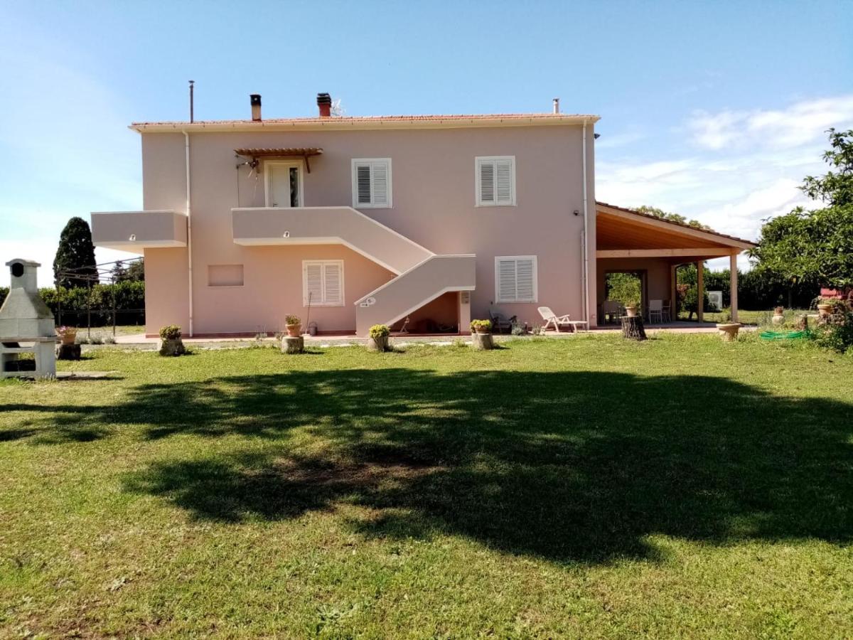 Agriturismo Susanna E Atria Bibbona Kültér fotó