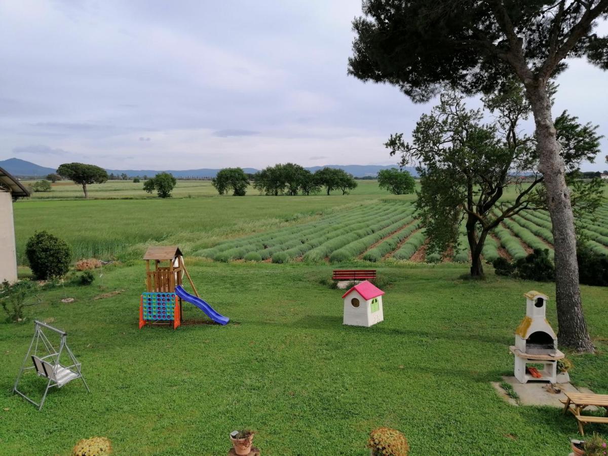Agriturismo Susanna E Atria Bibbona Kültér fotó