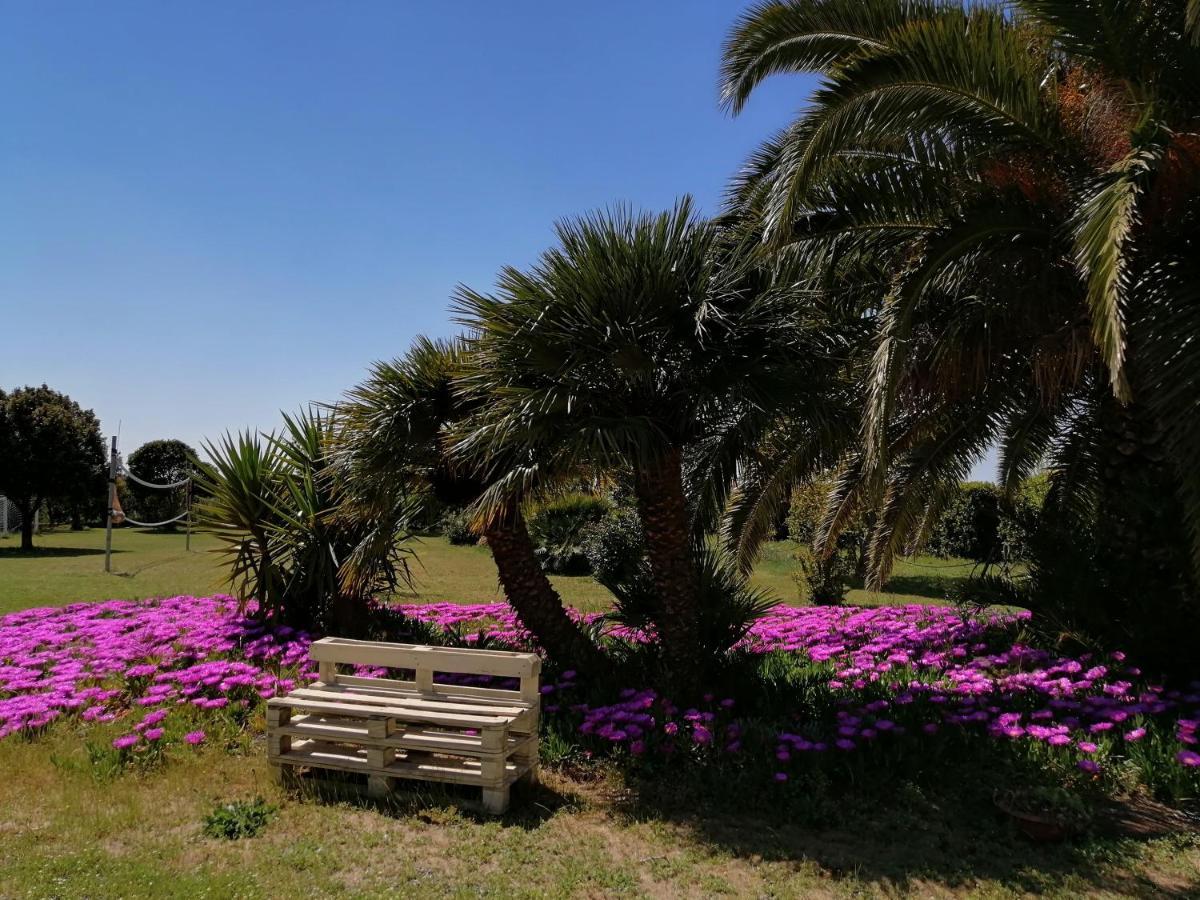 Agriturismo Susanna E Atria Bibbona Kültér fotó
